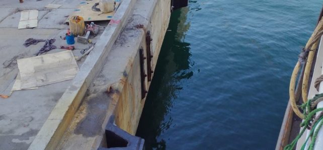 Tekirdağ Ceyport Limanı’nda 52 Adet Usturmaça Başarıyla Yenilendi